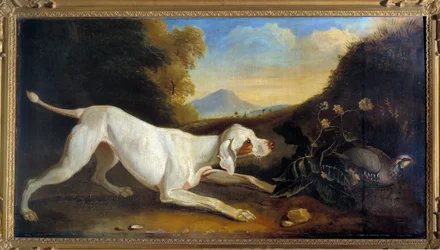 Chien Braque devant un faisan