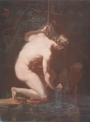 Narcisse