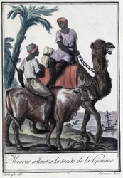 Maures se rendant au commerce de la gomme - dans « Encyclopédie des voyages » de Grasset St Sauveur, éd. 1796