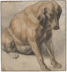 Chien assis