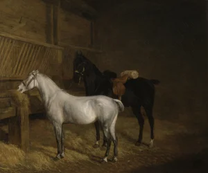 Un poney gris et un cheval de bataille noir dans une écurie