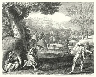 Scène de récolte
