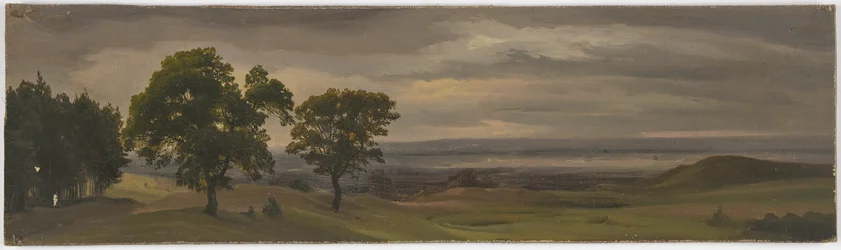 Paysage de prairie au crépuscule