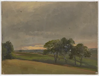Prairie du soir avec des arbres