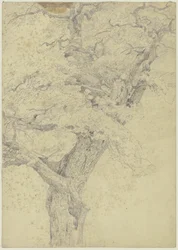 Arbre