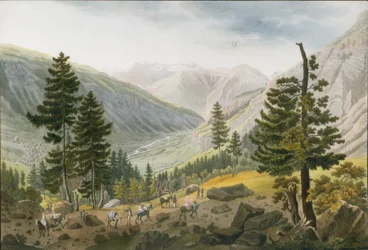 Paysage montagneux avec une caravane de mules