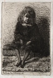 Douze gravures de la nature : Petit Arthur, 1858