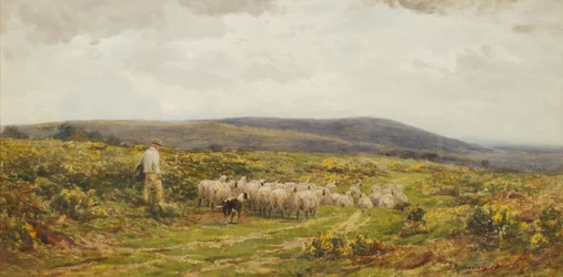 Un commun de Herefordshire