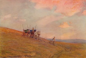 Sur les Downs près de Harting, 1906
