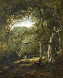 Figures dans les bois