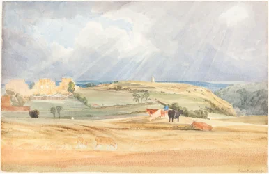 Paysage avec du bétail (Somerset ?)