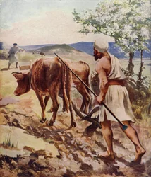 Labour près de Nazareth