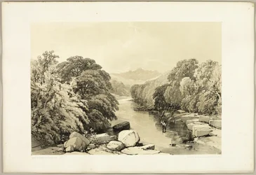 Frêne, sycomore et chêne, de Le Parc et la Forêt
