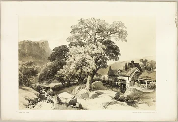 Frêne et Chêne, du Parc et la Forêt