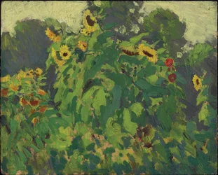 Tournesols, Thornhill, 1916
