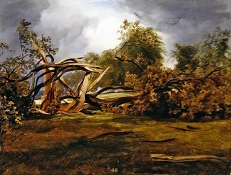 Le chêne foudroyé