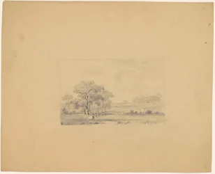Paysage pastoral