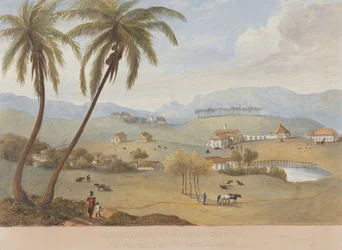 Haughton Court, Hanover, Jamaïque [Un de]