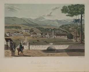 Domaine de Montpelier, St. James
