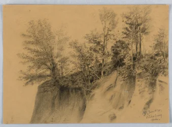 Falaise et arbres, Vicksburg, Miss.