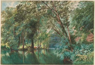 Arbres au-dessus de la rivière Frome à Stapleton