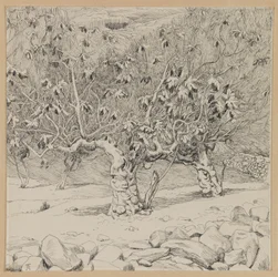 Figuier, Vallée de Hinnom (illustration de La Vie de Notre Seigneur Jésus-Christ)