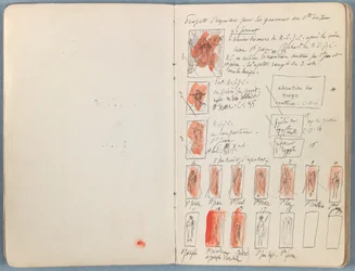 Pages d