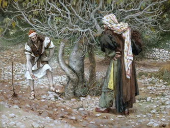 Le figuier stérile, illustration pour La vie du Christ