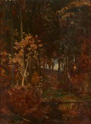 Un chemin boisé