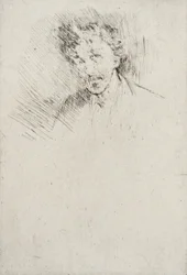 Whistler à la mèche blanche