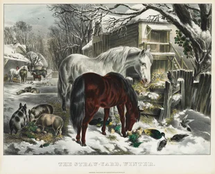 Cour de paille, hiver