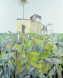 Ruine dans un marais, Haïti, 1971