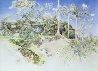 Temple en ruines, Tikal, Guatemala, 1984