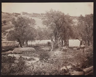 Gethsémani [Jérusalem. Mont des Oliviers]