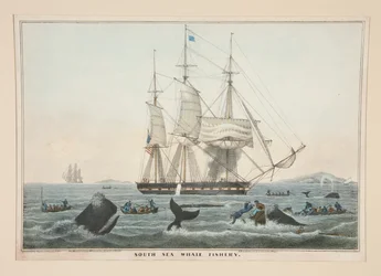 Pêche à la baleine dans les mers du Sud