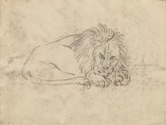 Un lion
