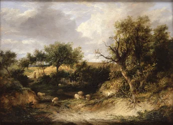 Paysage boisé (huile sur toile)