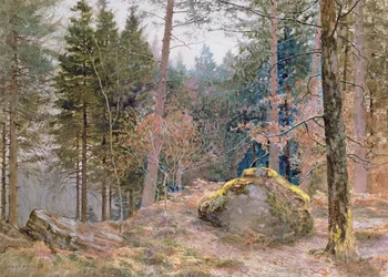 Dans un bois gallois, hiver