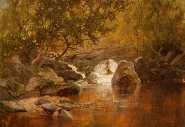 Un Bassin à Saumons