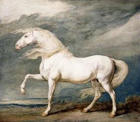 Adonis, le cheval préféré du roi George III