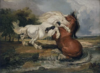 Chevaux combattants
