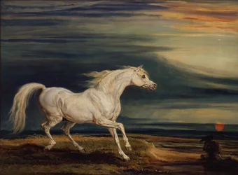 Marengo, le cheval de bataille arabe, monté par Napoléon Bonaparte à la bataille de Waterloo