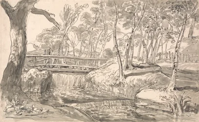 Paysage de rivière avec chute d