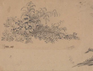 Étude de sous-bois