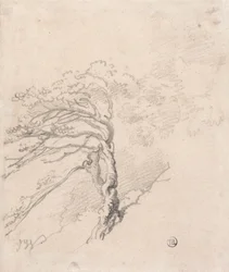 Arbre sur une colline
