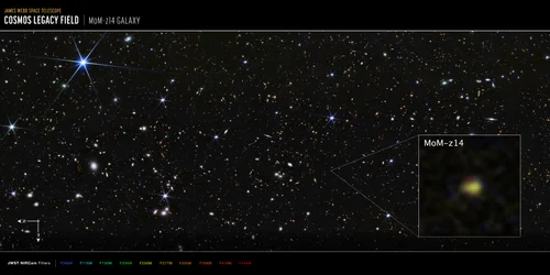 Galaxie MoM-z14 du champ COSMOS (image NIRCam)