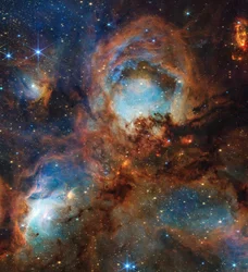Le télescope Webb de la NASA explore au-delà de la surface de Cat