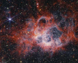 Observer les vrilles de NGC 604 avec le télescope Webb de la NASA