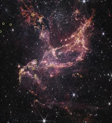 Disques protoplanétaires dans NGC 346 (image NIRCam)