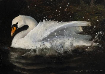 Le cygne dansant